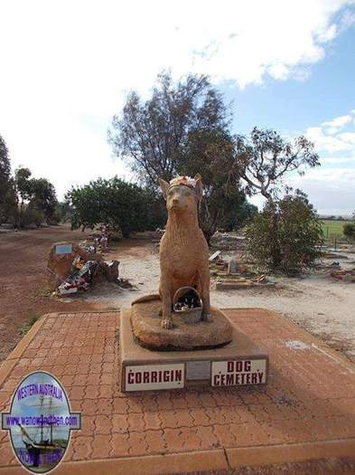 Dog Cemetery Corrigin